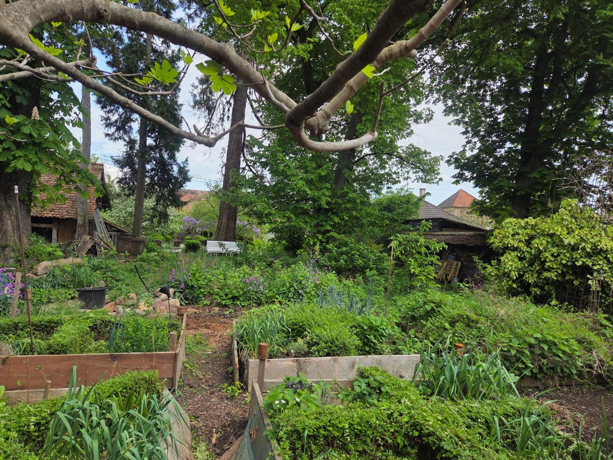 Le Temps Des Cigognes Villa Barr Eksteriør bilde