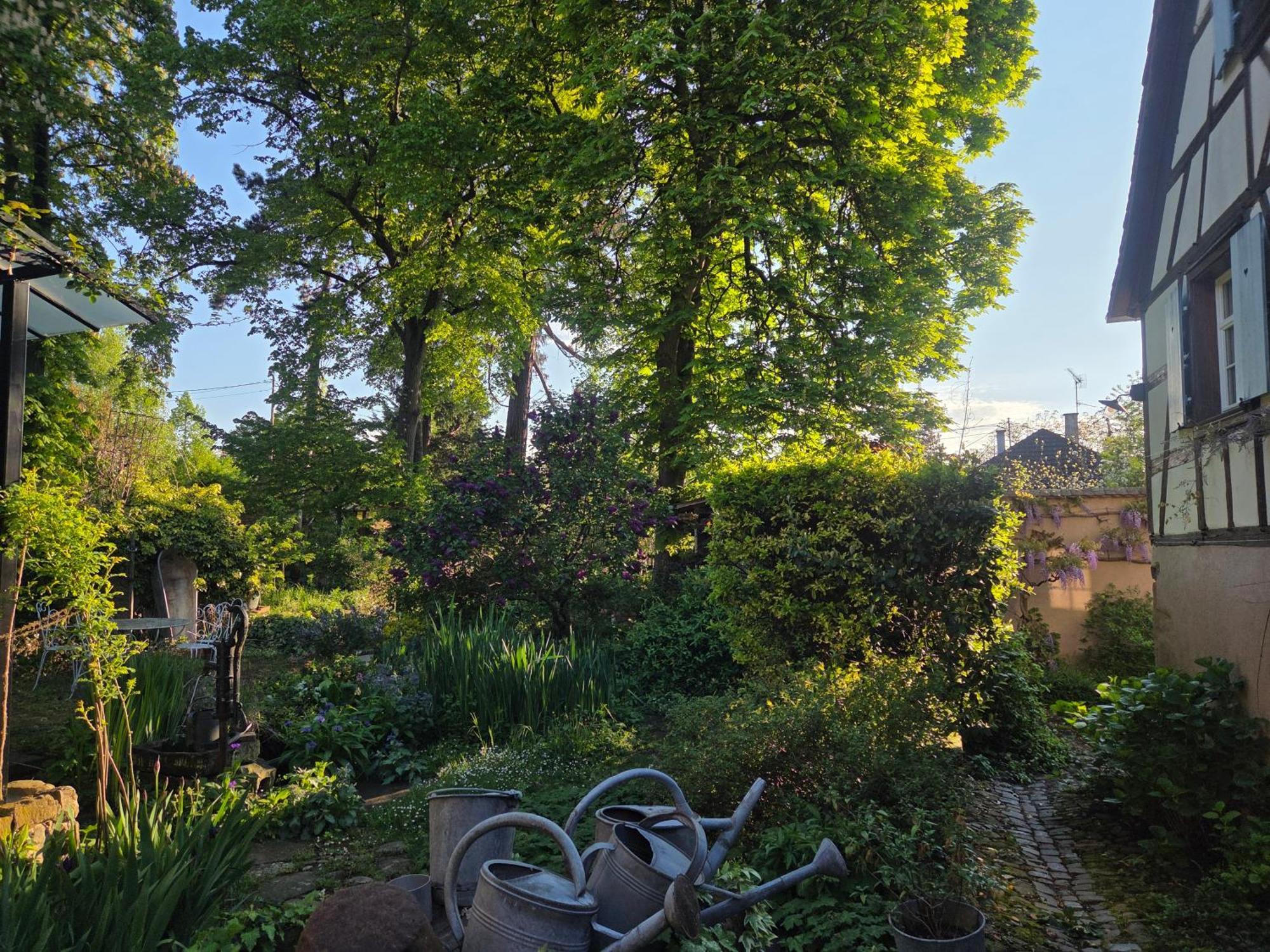 Le Temps Des Cigognes Villa Barr Eksteriør bilde