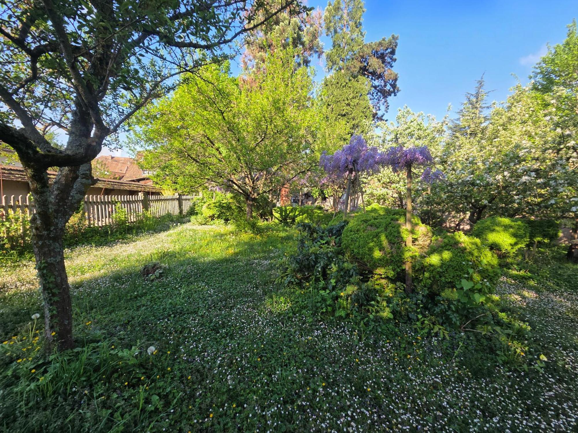 Le Temps Des Cigognes Villa Barr Eksteriør bilde