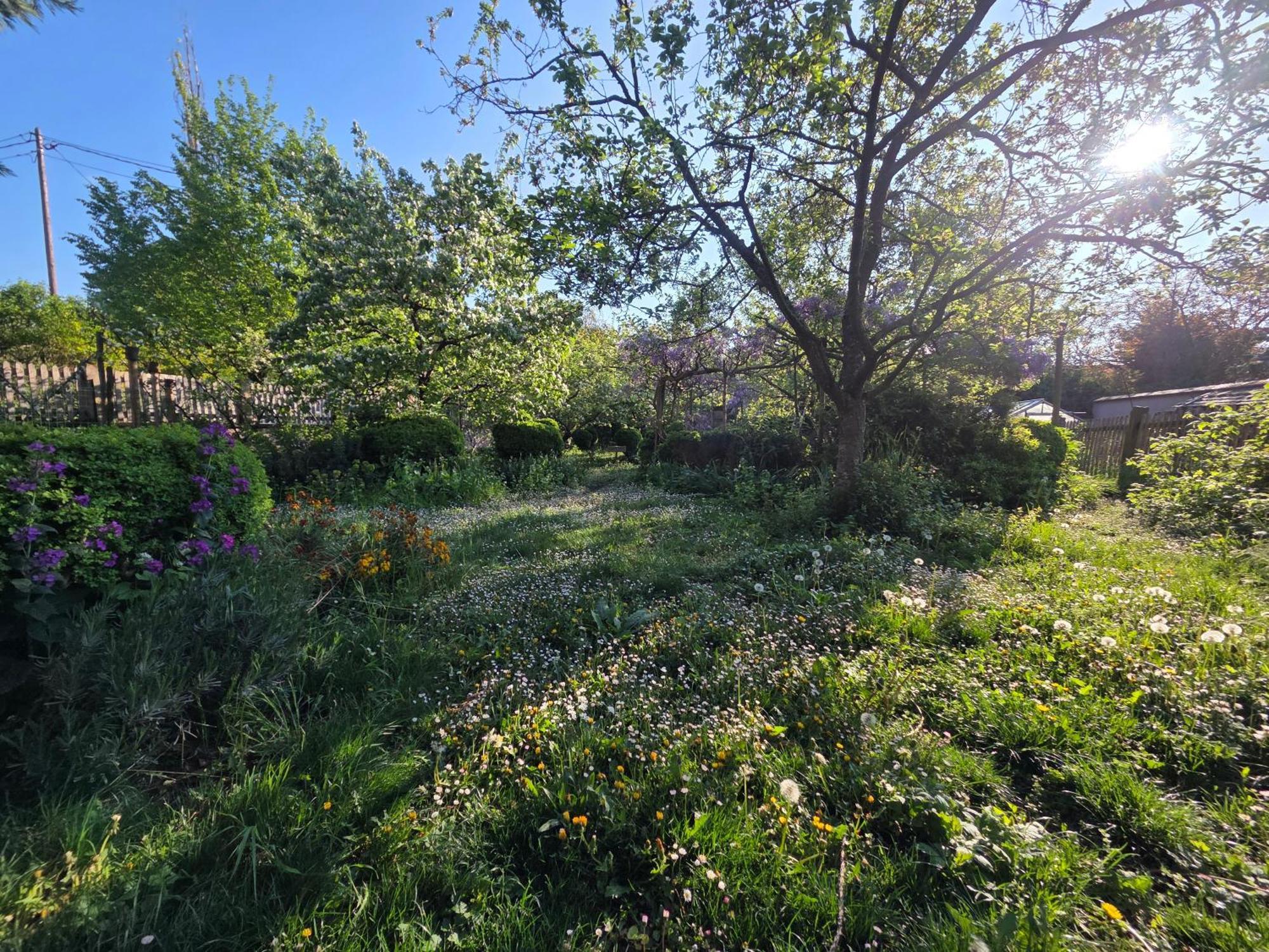 Le Temps Des Cigognes Villa Barr Eksteriør bilde