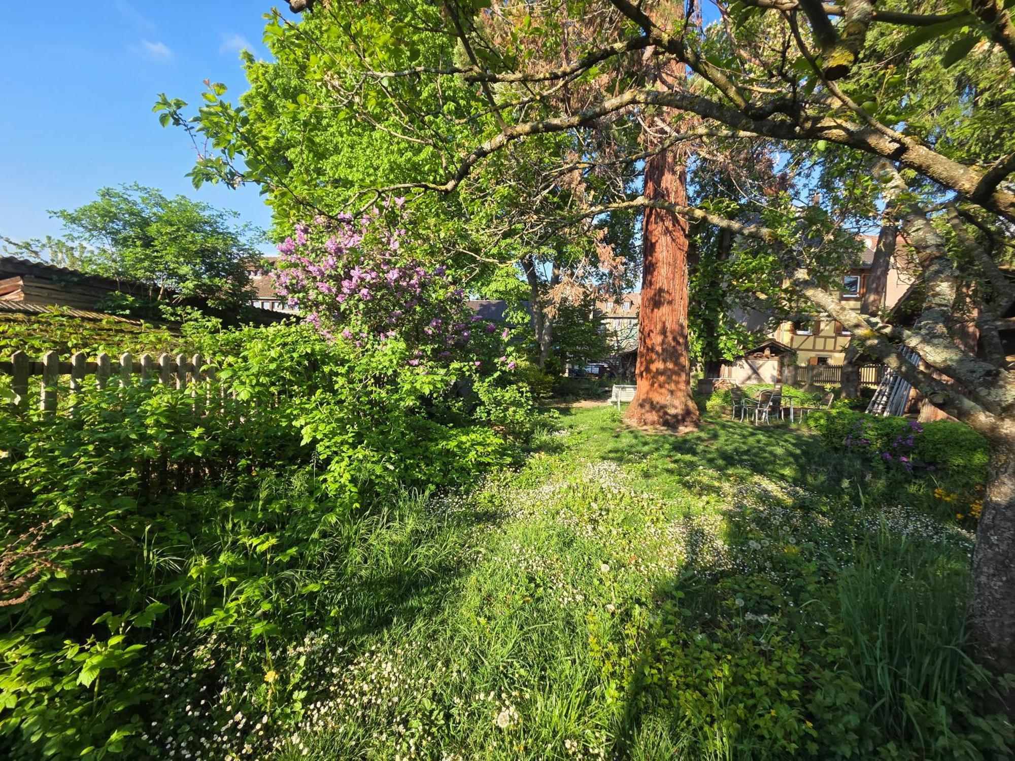 Le Temps Des Cigognes Villa Barr Eksteriør bilde