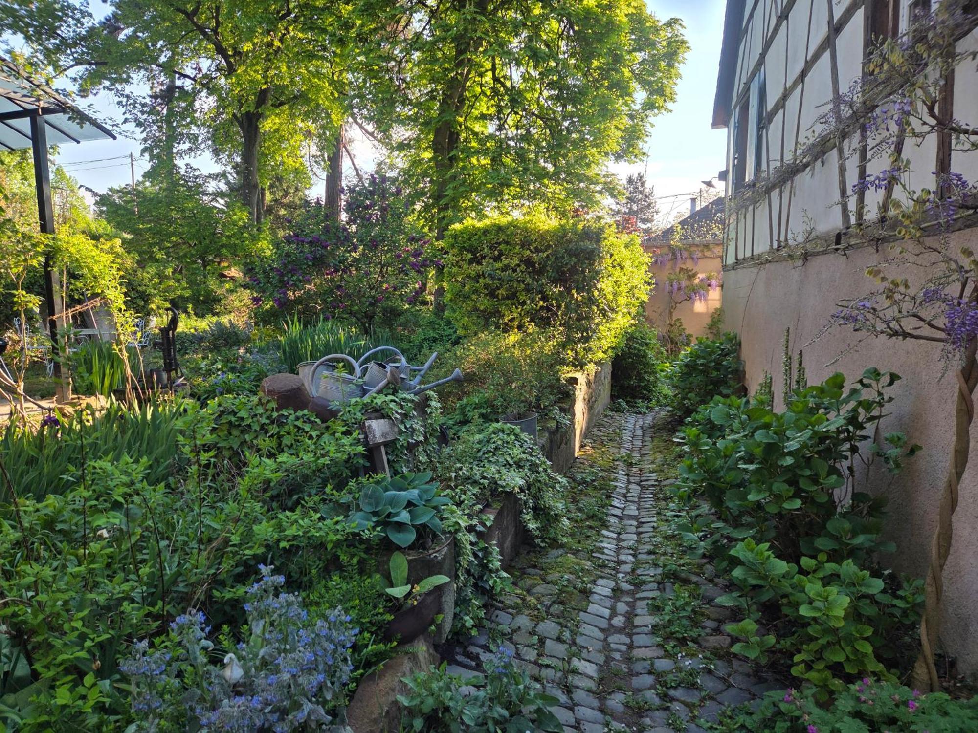 Le Temps Des Cigognes Villa Barr Eksteriør bilde