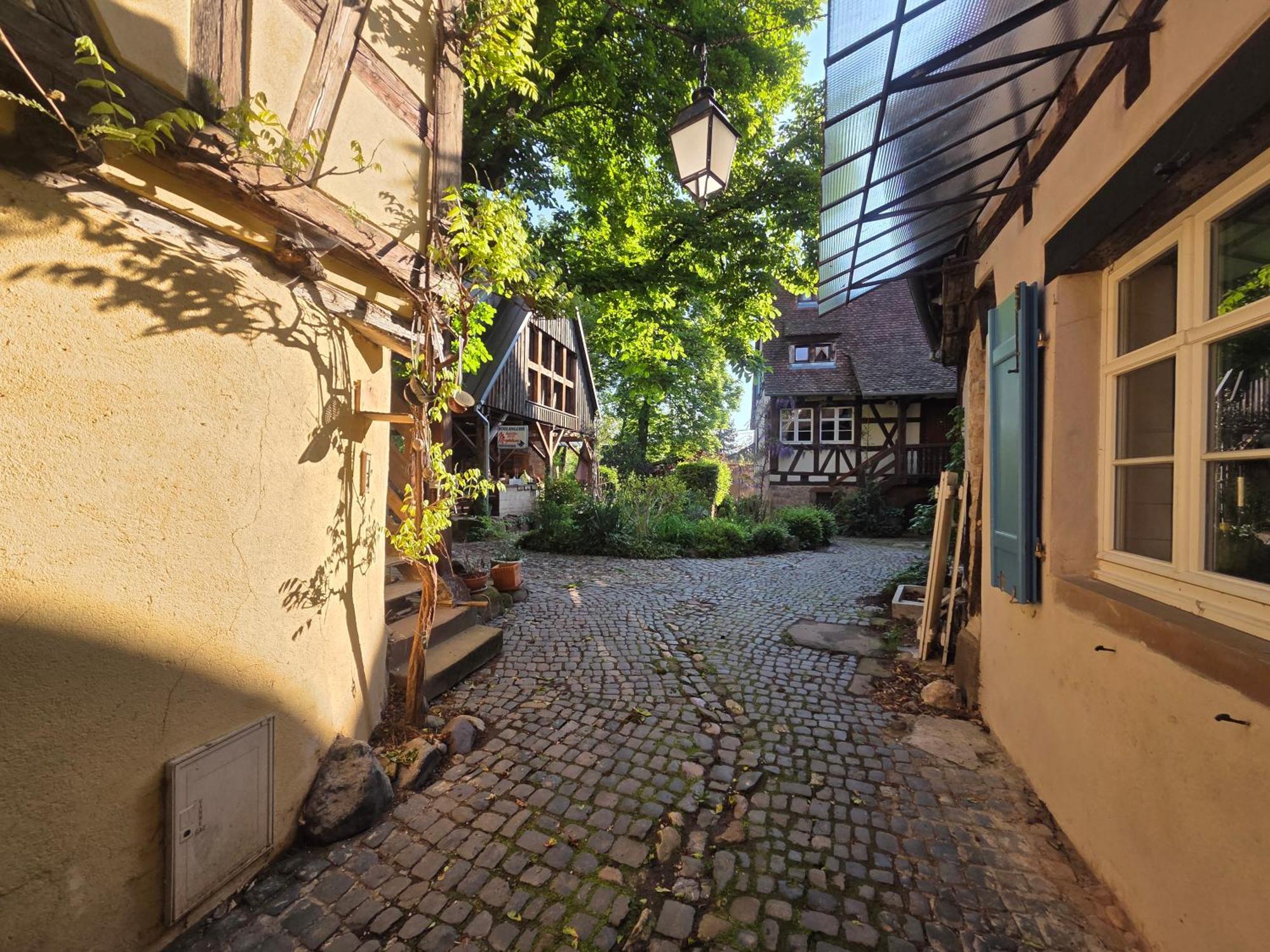 Le Temps Des Cigognes Villa Barr Eksteriør bilde