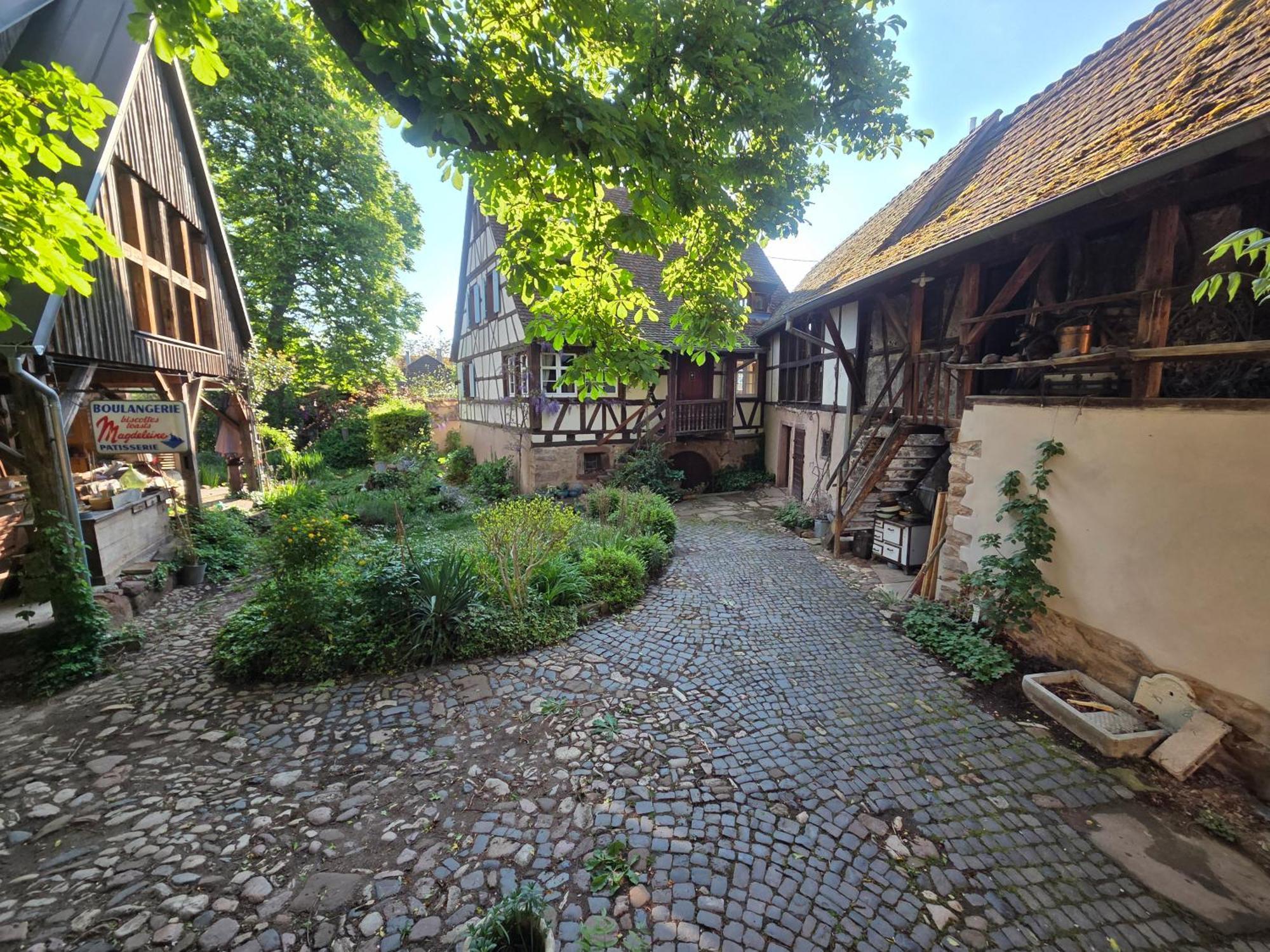 Le Temps Des Cigognes Villa Barr Eksteriør bilde